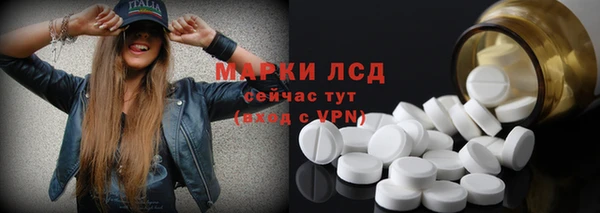 прущие грибы Баксан