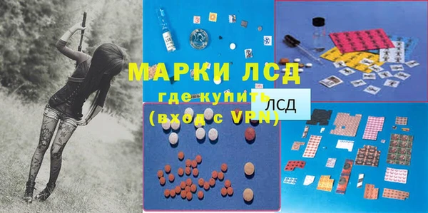 прущие грибы Баксан