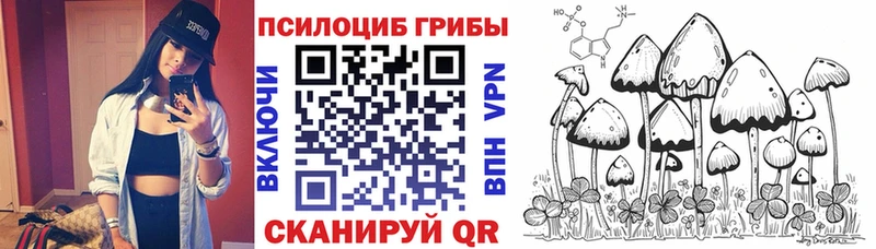 Псилоцибиновые грибы Psilocybe  что такое наркотик  Нерюнгри 